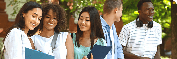 Domestic students